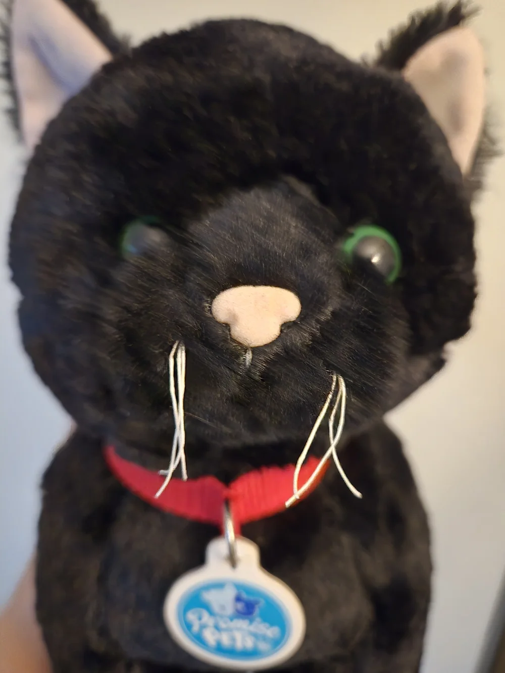 promise pet build a bear black cat